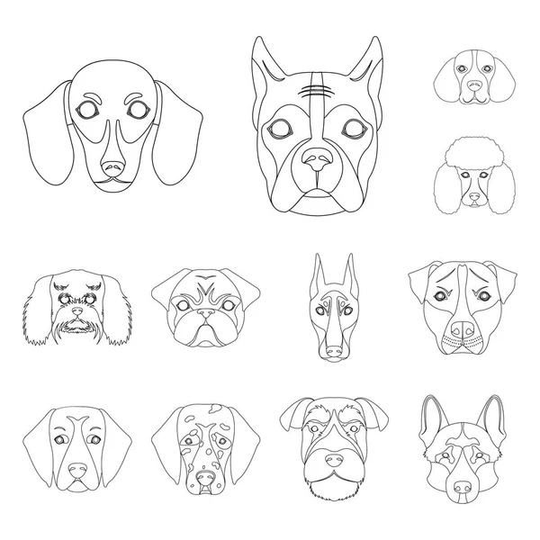 Las razas de perros esbozan iconos en la colección de conjuntos para el diseño.Hocico de un perro vector símbolo stock web ilustración . — Vector de stock