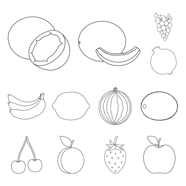 다른 과일 아이콘 디자인에 대 한 설정 컬렉션을 설명합니다. 과일 및 비타민 벡터 기호 재고 웹 일러스트 레이 션. — 스톡 벡터