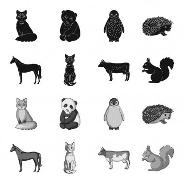 At, inek, kedi, sincap ve diğer hayvanlar. Hayvan toplama simgeler siyah, tek renkli stil vektör simge stok çizim web içinde ayarla..