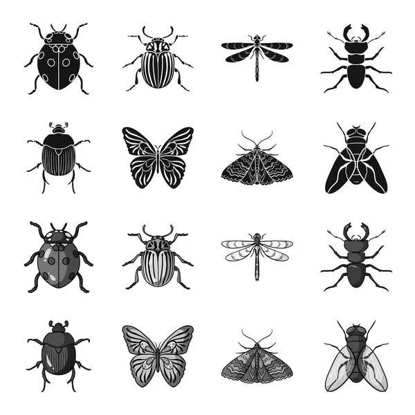 Παράσιτο, φύση, ναυαγοσώστης, πεταλούδα. Έντομα στεγάζεται συλλογή εικονιδίων σε μαύρο, μονόχρωμη στυλ διάνυσμα σύμβολο μετοχής εικονογράφηση web. — Διανυσματικό Αρχείο