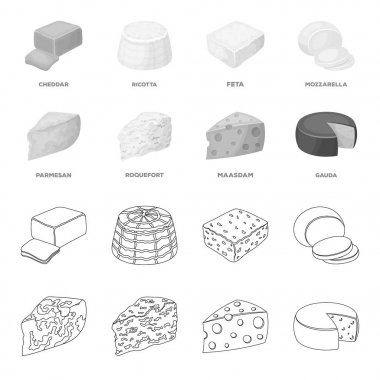 Parmesan, rokfor, maasdam, gauda. Farklı peynir toplama simgeler anahat, tek renkli stil vektör simge stok çizim web ayarla..