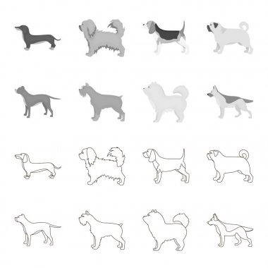 Çukur boğa, Alman çoban, chow chow, schnauzer. Köpek ırkları toplama simgeler anahat, tek renkli stil vektör simge stok çizim web ayarla..