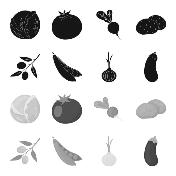 Aceitunas en una rama, guisantes, cebollas, berenjena. Vegetales conjunto de iconos de colección en negro, el estilo monocromo vector símbolo stock ilustración web . — Archivo Imágenes Vectoriales