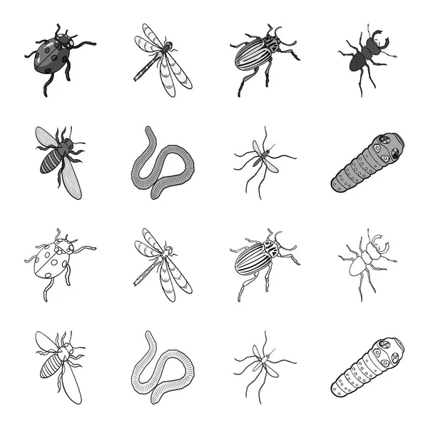 Arthropods insect mosquito, bee.Earth worm, caterpillar,vermicular set collection icons in outline,monochrome style vector symbol stock isometric illustration web. — Stock Vector