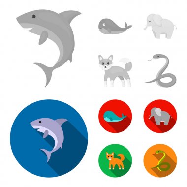 Balina, fil, yılan, fox. Hayvan toplama simgeler tek renkli, düz stil vektör simge stok çizim web ayarla..