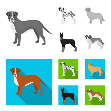 Köpek ırkları set koleksiyonu tasarım için tek renkli, düz simgeler. Köpek evde beslenen hayvan vektör simge stok web çizim.