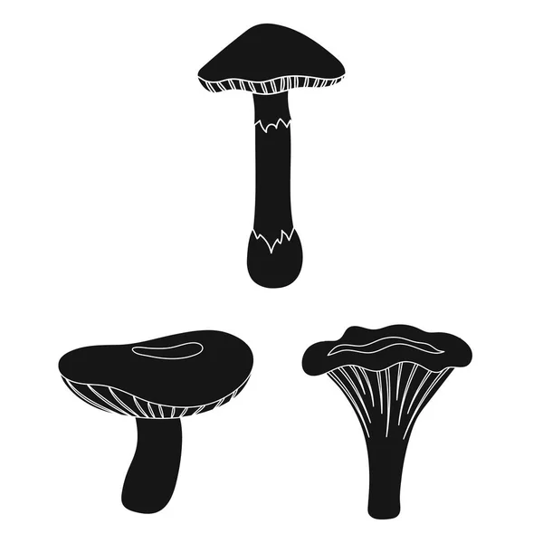 有毒和可食用的蘑菇黑色图标集合中的设计。不同类型的蘑菇矢量符号库存 web 插图. — 图库矢量图片