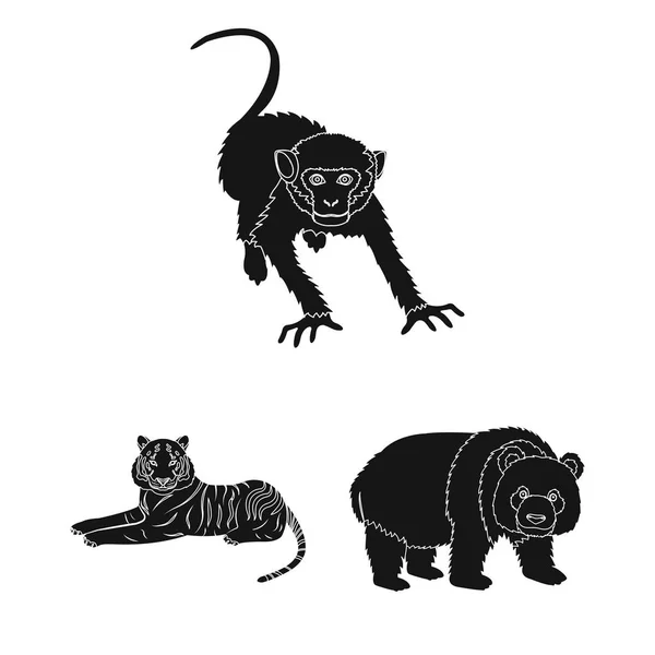 Diferentes animales iconos negros en la colección de conjuntos para el diseño. Pájaro, depredador y herbívoro vector símbolo stock web ilustración . — Archivo Imágenes Vectoriales