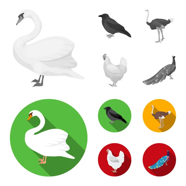 Vrána, pštros, kuře, páv. Ptáci nastavení kolekce ikon v černobíle, plochý vektor symbol akcií ilustrace web. — Stockový vektor