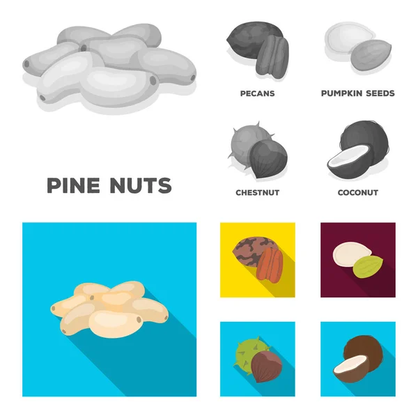 Pecan, pinjenötter, pumpafrön, kastanj. Olika typer av nötter som samling ikoner i svartvitt, platt stil vektor symbol stock illustration web. — Stock vektor