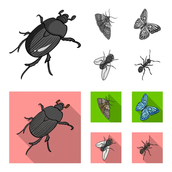 Arthropods insect beetle, moth, butterfly, fly. Insects set collection icons in monochrome,flat style vector symbol stock isometric illustration web. — Stock Vector