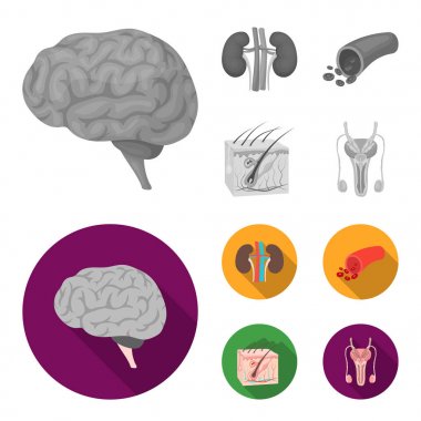 Beyin, böbrek, kan damarı, Cilt. Organ toplama simgeler tek renkli, düz stil vektör simge stok çizim web ayarla..