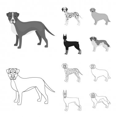 Köpek doğurmak anahat, set koleksiyonu tasarım için tek renkli simgeler. Köpek evde beslenen hayvan vektör simge stok web çizim.