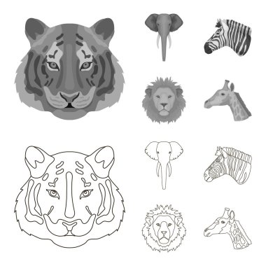 Kaplan, aslan, fil, zebra, gerçekçi hayvanları anahat, tek renkli stil vektör simge stok çizim web simgeler ayarla.