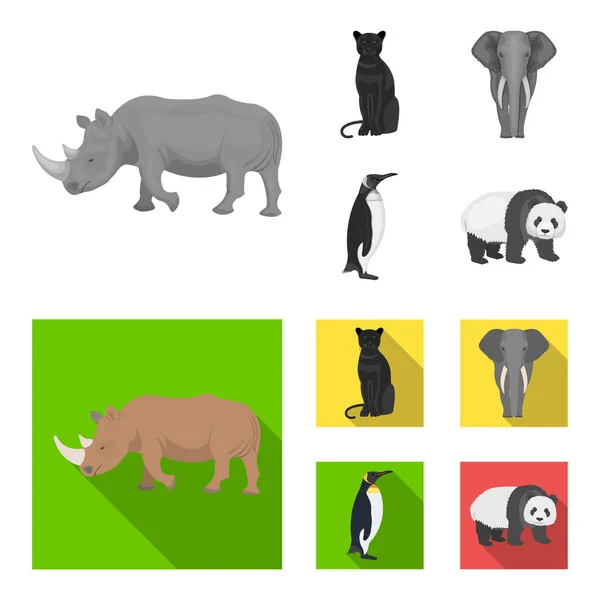 Rinoceronte negro, gato selvagem pantera, elefante animal africano, pinguim imperial. Animais selvagens conjunto coleção ícones em monocromático, estilo plano símbolo vetorial estoque ilustração web . —  Vetores de Stock