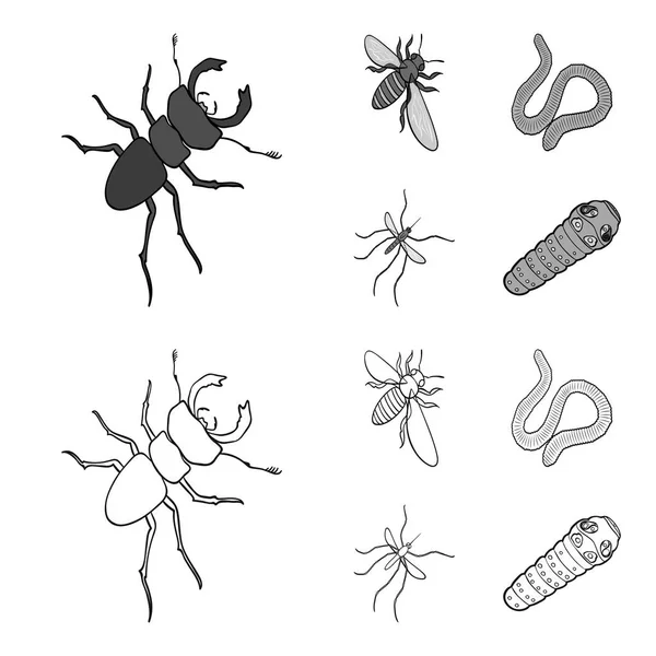 Arthropods insect mosquito, bee.Earth worm, caterpillar,vermicular set collection icons in outline,monochrome style vector symbol stock isometric illustration web. — Stock Vector