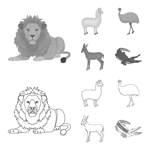 Lama, pštros emu, mladé antilopy, zvířecí krokodýl. Volně žijících zvířat, ptáků, plazů sada kolekce ikon v osnově, monochromatické stylu vektor symbol akcií ilustrace web. — Stockový vektor