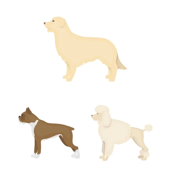 Φυλές σκύλων κινουμένων σχεδίων εικονίδια στη συλλογή σετ για σχεδιασμό. Σκύλος συντροφιάς διάνυσμα σύμβολο μετοχών web εικονογράφηση. — Διανυσματικό Αρχείο