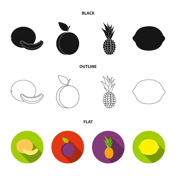 Melon, śliwka, ananas, cytryna. Owoców zestaw kolekcji ikon w czarne, płaskie, www ilustracji symbol wektor zarys styl. — Wektor stockowy