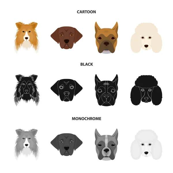 Bozal de diferentes razas de perros. Collie raza perro, lobladore, caniche, boxeador conjunto colección iconos en dibujos animados, negro, monocromo estilo vector símbolo stock ilustración web . — Archivo Imágenes Vectoriales