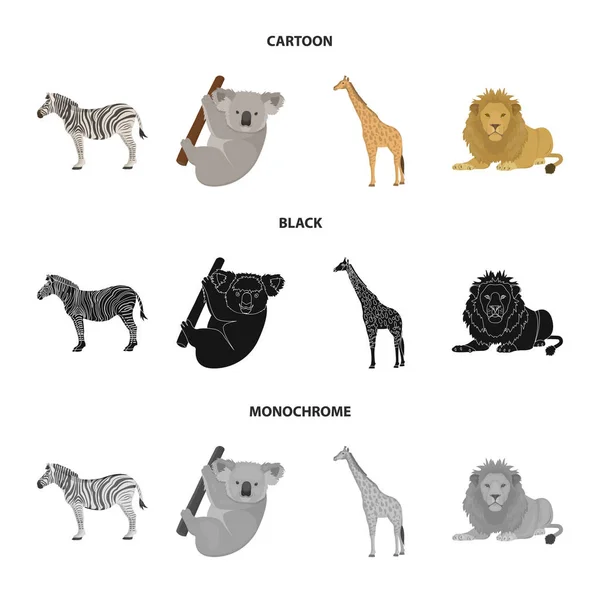 Cebra africana, koala animal, jirafa, depredador salvaje, león. Animales salvajes set colección iconos en dibujos animados, negro, monocromo estilo vector símbolo stock ilustración web . — Archivo Imágenes Vectoriales