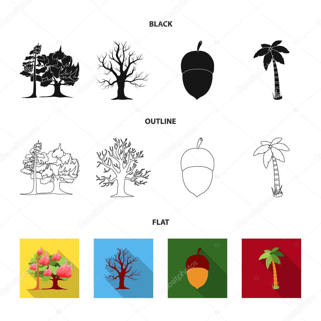 Burning tree, palm, acorn, dry tree.Forest set collection icons in black,flat,outline style vector symbol stock illustration web.