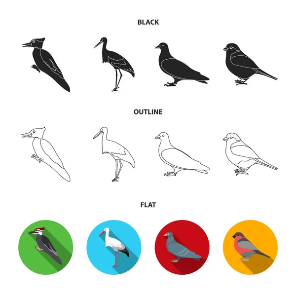 キツツキ、コウノトリなど。鳥は、ブラック、フラット、アウトライン スタイルのベクトル シンボル ストック イラストの web コレクションのアイコンを設定します。. — ストックベクタ