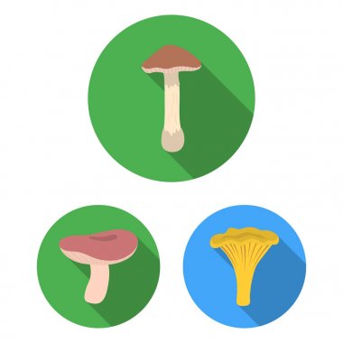 Zehirli ve yenilebilir mantar düz simgeler set koleksiyonu tasarım için. Mantar farklı türde sembol stok web illüstrasyon vektör.