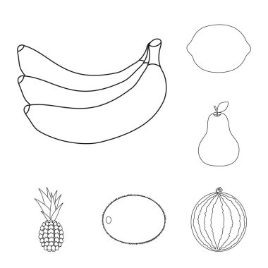 Farklı meyve set koleksiyonu tasarım için simgeleri anahat. Meyve ve vitaminler sembol stok web illüstrasyon vektör.