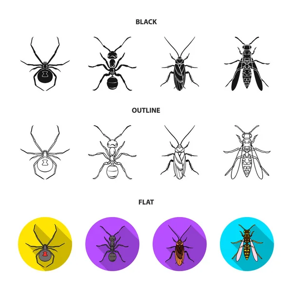 Spider, ant, wasp, bee .Insects set collection icons in black,flat,outline style vector symbol stock illustration web. — Stock Vector