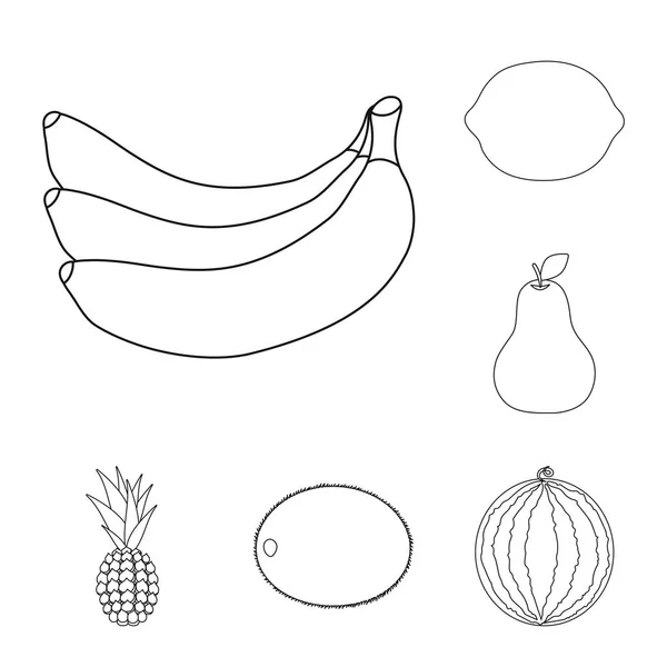 Diferentes frutas esbozan iconos en la colección de conjuntos para el diseño. Frutas y vitaminas vector símbolo stock web ilustración . — Archivo Imágenes Vectoriales