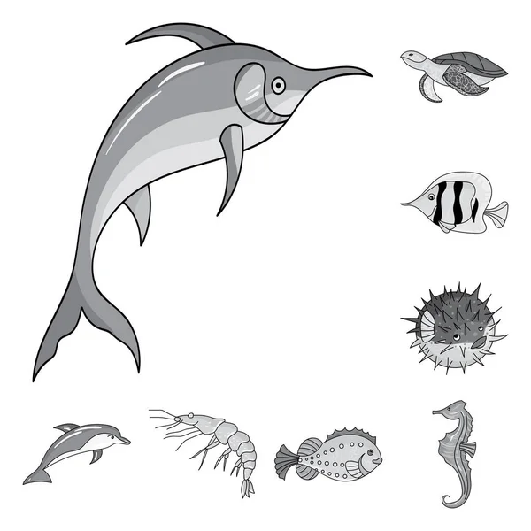Eine Vielzahl von Meerestieren monochromen Symbolen in Set-Kollektion für Design. Fisch und Schalentiere Vektor Symbol Stock Web Illustration. — Stockvektor