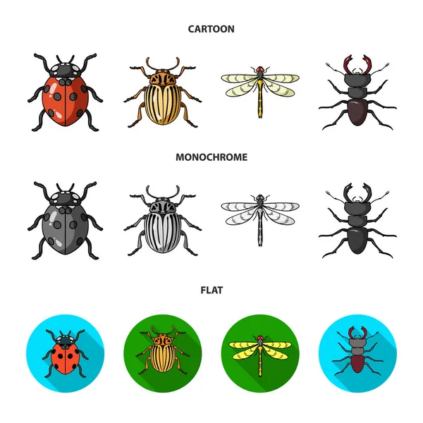 Insect, bug, beetle, paw .Insects set collection icons in cartoon,flat,monochrome style vector symbol stock illustration web. — Stock Vector