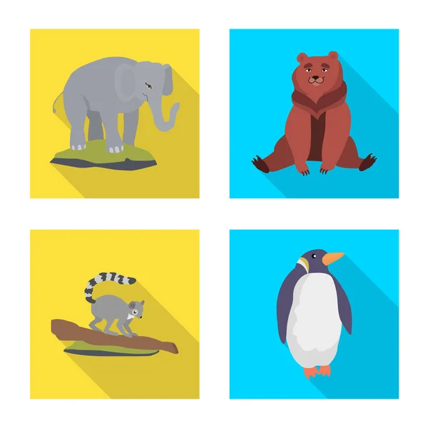 Vector design of safari and animal icon. Collection of safari and fun vector icon for stock. — Stock Vector