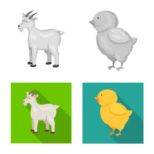 Vector design of breeding and kitchen symbol. Set of breeding and organic stock symbol for web. — Stock Vector