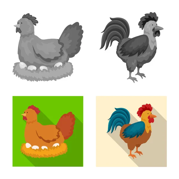 Isolated object of breeding and kitchen icon. Set of breeding and organic vector icon for stock. — Stock Vector