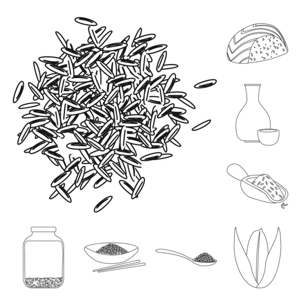Illustration vectorielle du régime alimentaire et icône de la cuisine. Collection de l'alimentation et icône vectorielle biologique pour le stock . — Image vectorielle
