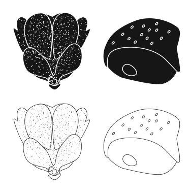 Ürün ve kümes hayvanları simge vektör tasarımı. Hisse senedi için ürün ve tarım vektör simge kümesi.