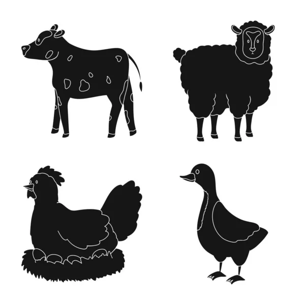 Vektordesign von Ranch und Bio-Zeichen. Reihe von Ranch-und Food-Lager Vektor Illustration. — Stockvektor