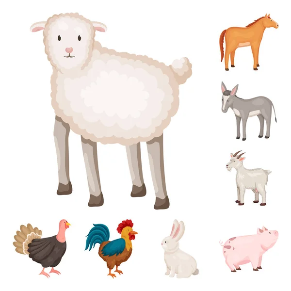 Vektordesign von Bauernhof- und Lebensmittelschildern. Set von landwirtschaftlichen und landwirtschaftlichen Bestandsvektoren Illustration. — Stockvektor