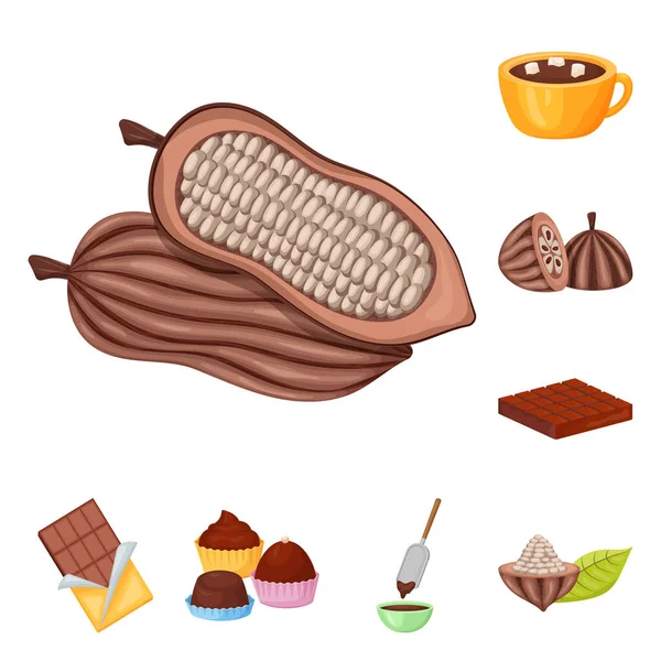 Objeto aislado de cacao y frijoles símbolo. Colección de cacao y el icono del vector de dulzura para stock . — Vector de stock