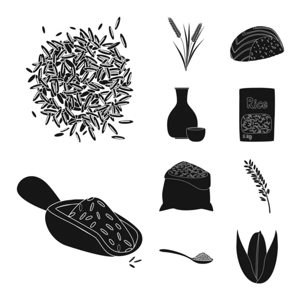 Απεικόνιση διανύσματος της διατροφής και του εικονιδίου μαγειρικής. Σετ διατροφής και οργανικό σύμβολο για το Web. — Διανυσματικό Αρχείο