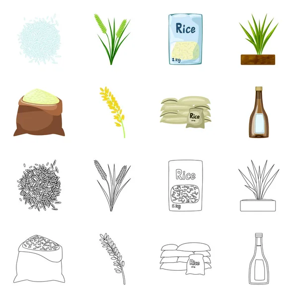 Geïsoleerde object van gewas- en ecologische teken. Set van gewas en koken vector pictogram voor voorraad. — Stockvector