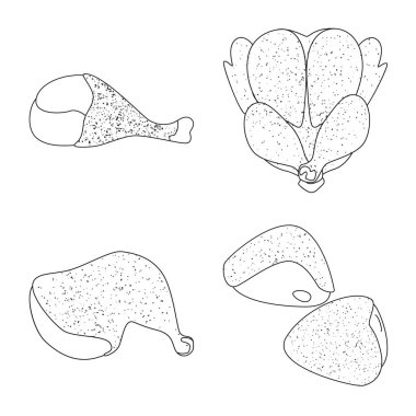 Gıda ve ızgara sembolü izole nesne. Web için gıda ve kuş stok sembolü toplama.