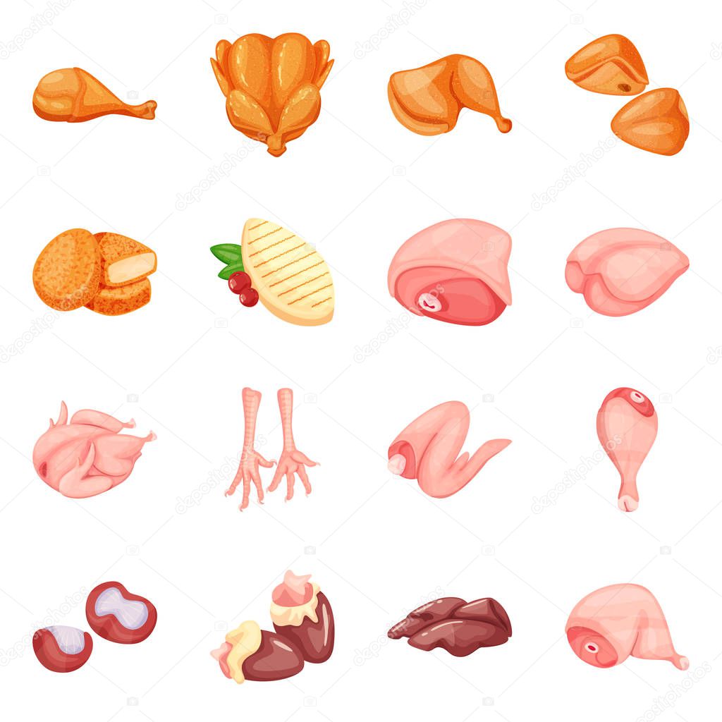 Vector design of meat and raw logo. Collection of meat and grilled stock vector illustration.
