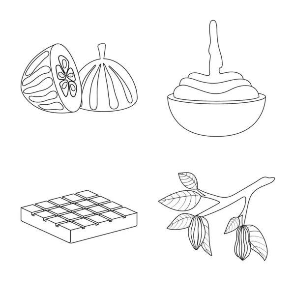 Векторный дизайн иконы какао и бобов. Коллекция векторных иллюстраций какао и сладости . — стоковый вектор