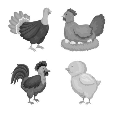 Çiftlik ve tarım sembolü vektör tasarımı. Homestead ve mutfak stok vektör illüstrasyon koleksiyonu.