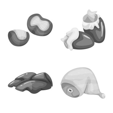 Mutfağı ve kuş simge vektör tasarımı. Mutfağı ve kümes hayvanları hisse senedi vektör çizim seti.