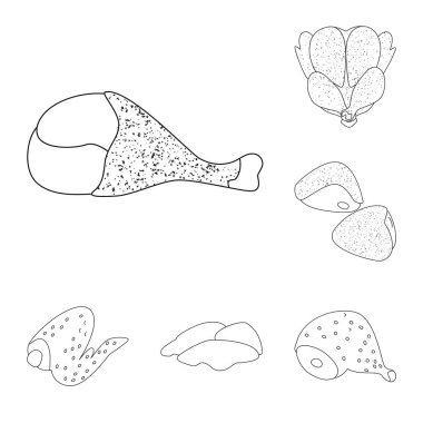 Gıda ve ızgara logo yalıtılmış nesne. Web için gıda ve kuş hisse senedi simgesi kümesi.