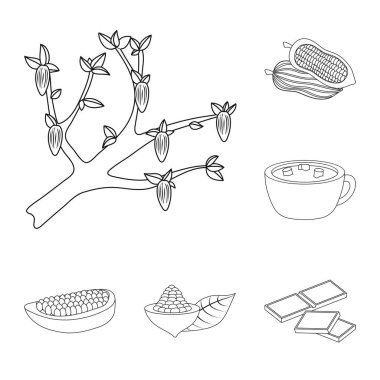 Kakao ve fasulye sembolü izole nesne. Stok için kakao ve tatlılık vektör simgesi seti.